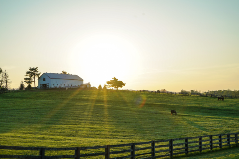 Navigating Rural Financing: A Homebuyer’s Guide to USDA Loans