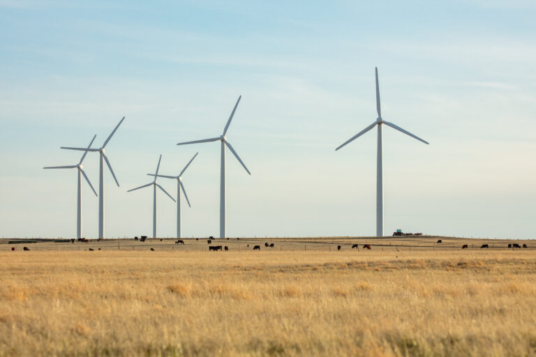 Windsor mortgage broker - Photo of long grass and windfarm