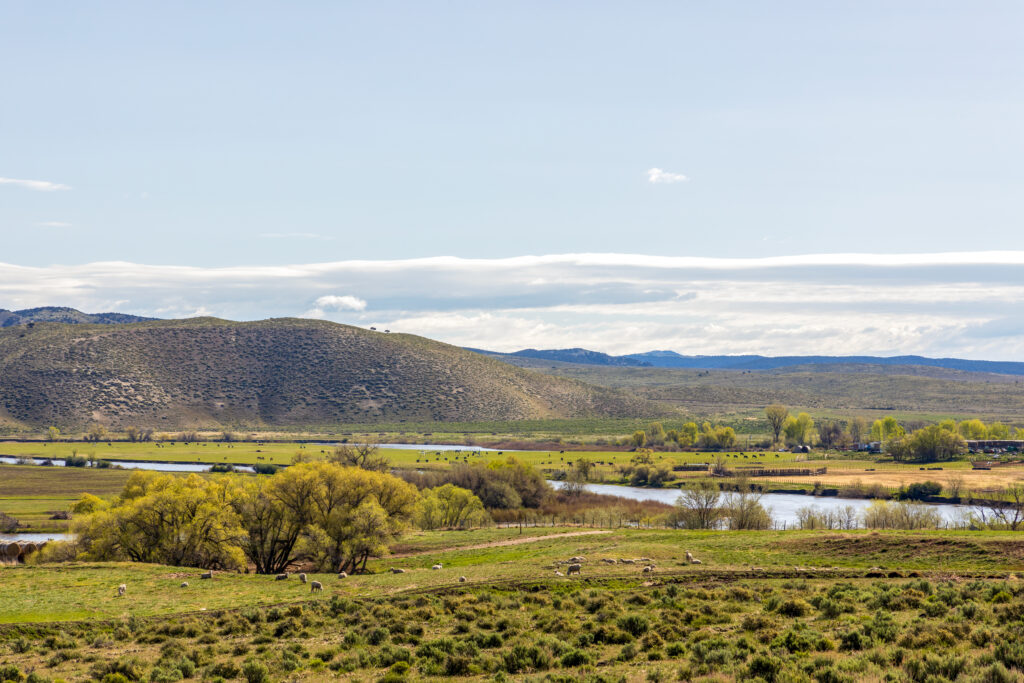 Loveland mortgage broker - View of field and mountain in Loveland, Colorado